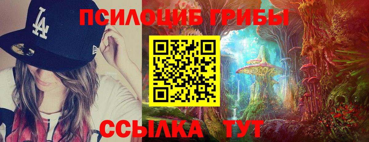 Галлюциногенные грибы GOLDEN TEACHER  Вход с VPN  Богородицк 